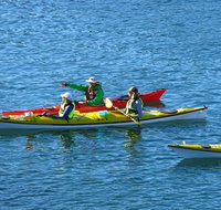 Half-Day Sydney Middle Harbour Guided Kayaking Eco Tour - Attractions Brisbane