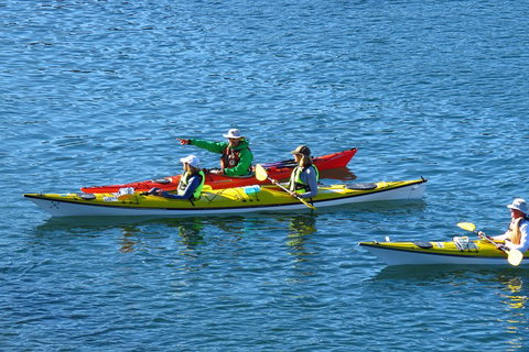 Half-Day Sydney Middle Harbour Guided Kayaking Eco Tour - Attractions Brisbane 0