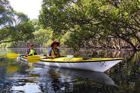 Half-Day Sydney Middle Harbour Guided Kayaking Eco Tour - Attractions Brisbane 3