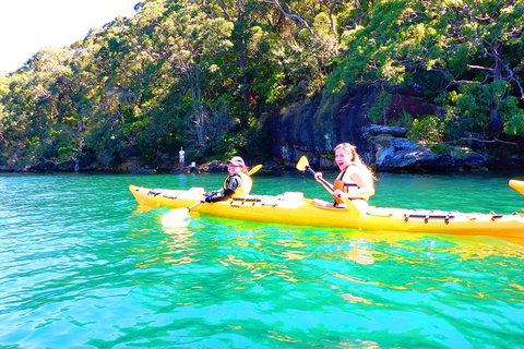 Half-Day Sydney Middle Harbour Guided Kayaking Eco Tour - Attractions Brisbane 4