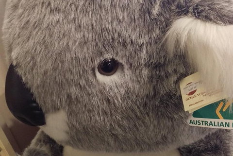 Ballarat Gold Fields Tour - Attractions Brisbane 5