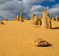 The Pinnacles Sea and Dunescapes Bush Reserve and Sunset Day Tour - Attractions Brisbane