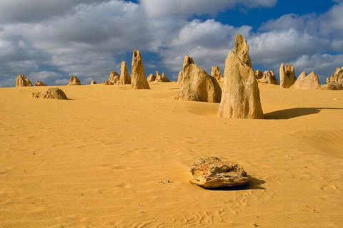 The Pinnacles, Sea And Dunescapes, Bush Reserve And Sunset Day Tour - Attractions Brisbane 0