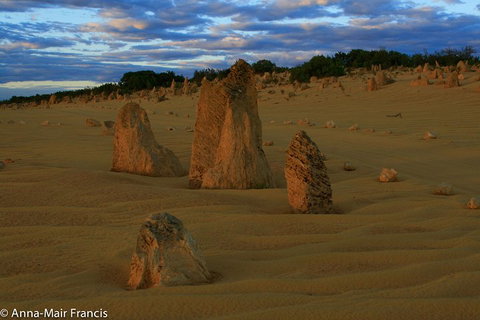 The Pinnacles, Sea And Dunescapes, Bush Reserve And Sunset Day Tour - Attractions Brisbane 1