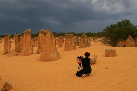 The Pinnacles, Sea And Dunescapes, Bush Reserve And Sunset Day Tour - Attractions Brisbane 2