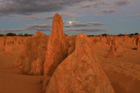 The Pinnacles, Sea And Dunescapes, Bush Reserve And Sunset Day Tour - Attractions Brisbane 4