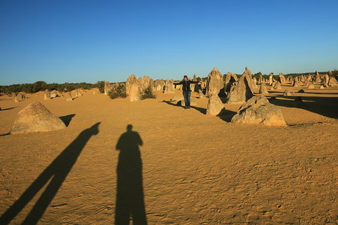The Pinnacles, Sea And Dunescapes, Bush Reserve And Sunset Day Tour - Attractions Brisbane 5