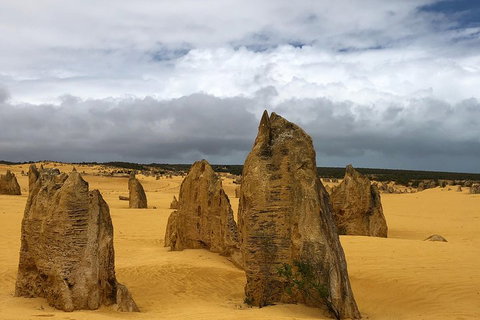 Private Pinnacles Day Tour - Attractions Brisbane 1