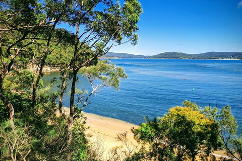 Central Coast Explorer With 'Personalised Sydney Tours' - Attractions Brisbane 0