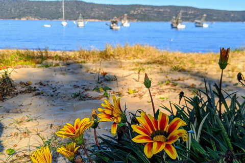 Central Coast Explorer With 'Personalised Sydney Tours' - Attractions Brisbane 2