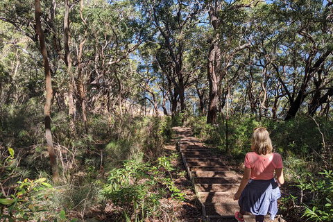 Central Coast Explorer With 'Personalised Sydney Tours' - Attractions Brisbane 4