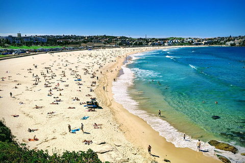 Sydney & Bondi Beach Plus Local Secrets With 'Personalised Sydney Tours' - Attractions Brisbane 5