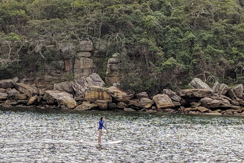 Manly & Sydney's Northern Beaches With 'Personalised Sydney Tours' - Attractions Brisbane 3
