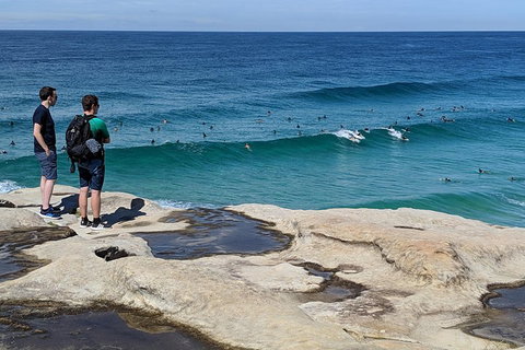 Sydney Secrets & Bondi Beach Private 4 Hr Morning With Personalised Sydney Tours - Attractions Brisbane 2
