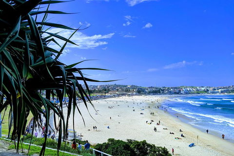 Sydney Secrets & Bondi Private 4 Hour Afternoon With 'Personalised Sydney Tours' - Attractions Brisbane 0