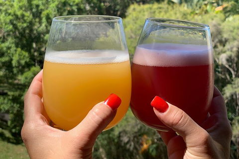 Hipster Sipster Brewery And Distillery Tour - Attractions Brisbane 3