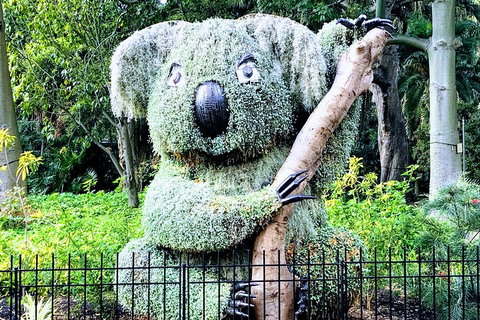 Discover Sydney - Botanic - Attractions Brisbane 1