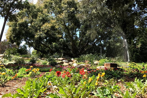 Discover Sydney - Botanic - Attractions Brisbane 3