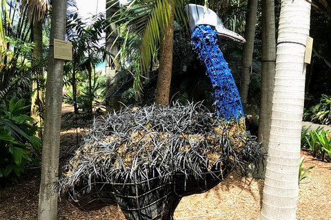 Discover Sydney - Botanic - Attractions Brisbane 5