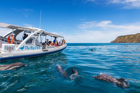 Victor Harbor And McLaren Vale Wine Region Day Tour - Attractions Brisbane 1