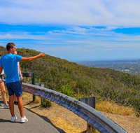 Private Tour Mornington Peninsula Family Maze and Fun - Attractions Brisbane