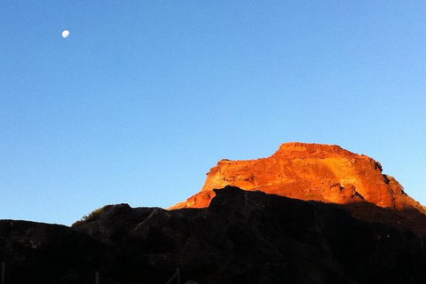 [Private Tour] Mornington Peninsula Family, Maze And Fun! - Attractions Brisbane 4