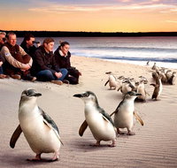 Private Tour Penguin Parade Phillip Island Tour. - Attractions Brisbane