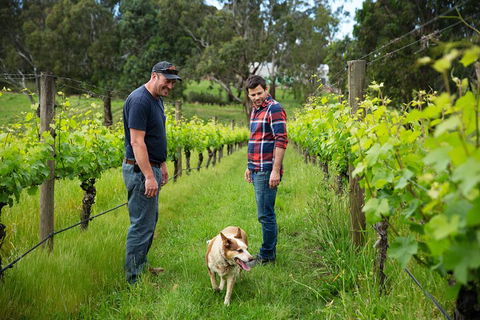 LGBT+ Friendly Full Day Yarra Valley & Dandenong Ranges Private Tour - Attractions Brisbane 4