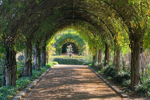 LGBT+ Friendly Full Day Yarra Valley & Dandenong Ranges Private Tour - Attractions Brisbane 5