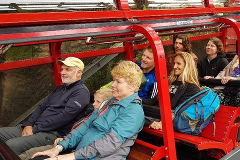 Blue Mountains Ultimate One-Day Tour - Attractions Brisbane 0