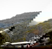 Taste of the Blue Mountains - Lunch  Wine tasting Beer Cider  Gin Tasting - Attractions Brisbane