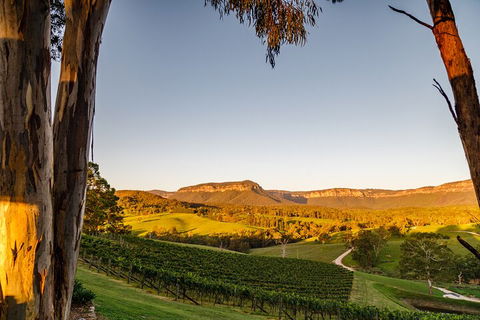 Taste Of The Blue Mountains - Lunch & Wine Tasting, Beer, Cider & Gin Tasting - Attractions Brisbane 1