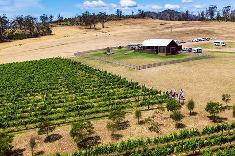 Tasmanian Wine Tour - Attractions Brisbane 3