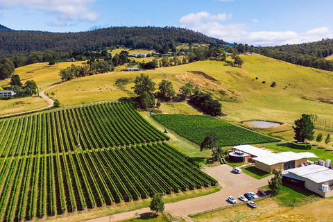 Tasmanian Wine Tour - Attractions Brisbane 4