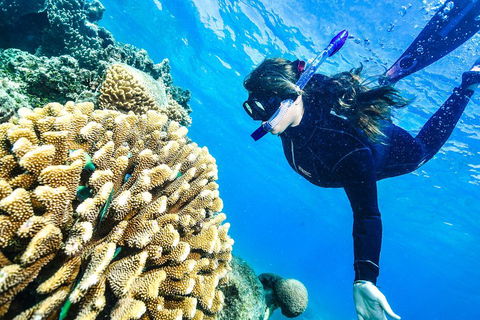 Green Island Day Trip From Cairns - Attractions Brisbane 1