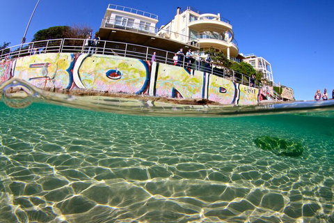 Bondi Like A Local: Half-Day Sightseeing Tour Including Surf Lesson - Attractions Brisbane 4