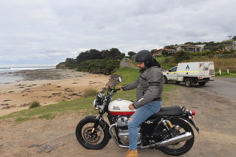 Royal Enfield Interceptor 650cc - Attractions Brisbane 3