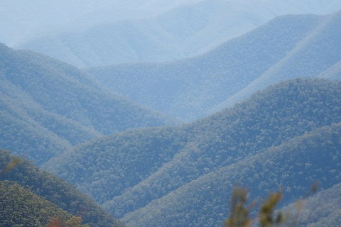 From The Mountains To The Bay - 4 Day Rediscovery Private Tour - Attractions Brisbane 1