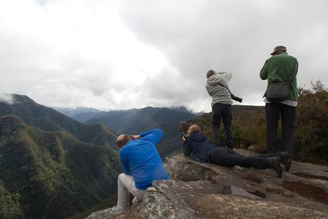 From The Mountains To The Bay - 4 Day Rediscovery Private Tour - Attractions Brisbane 4