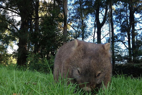 From The Mountains To The Bay - 4 Day Rediscovery Private Tour - Attractions Brisbane 5