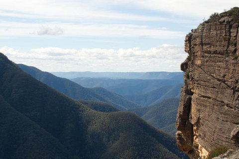 Inside The Greater Blue Mountains World Heritage - A Wildlife Safari Overnight - Attractions Brisbane 4