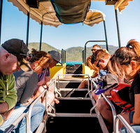 Airlie Beach Glass Bottom Boat Tour - Attractions Brisbane