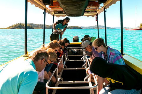 Airlie Beach Glass Bottom Boat Tour - Attractions Brisbane 1