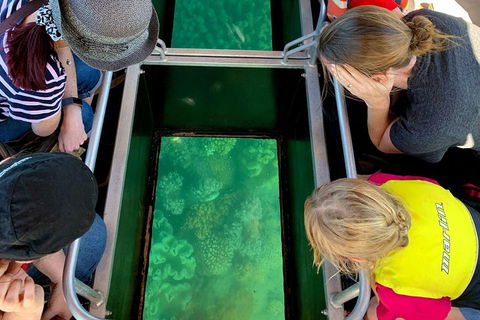 Airlie Beach Glass Bottom Boat Tour - Attractions Brisbane 5