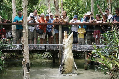 Hartley's Crocodile Adventure Half-Day Tour - Attractions Brisbane 1