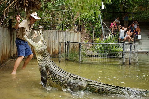 Hartley's Crocodile Adventure Half-Day Tour - Attractions Brisbane 2