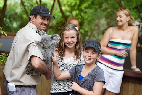 Hartley's Crocodile Adventure Half-Day Tour - Attractions Brisbane 3
