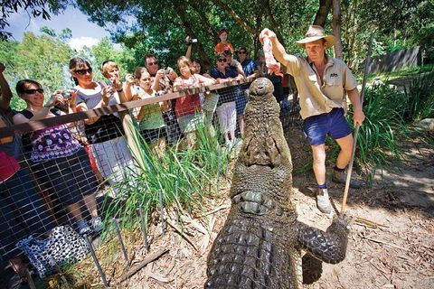 Hartley's Crocodile Adventure Half-Day Tour - Attractions Brisbane 4