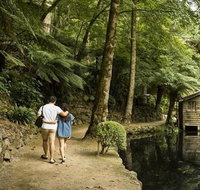 Discover Tour Dandenong Ranges  William Ricketts Sanctuary - Attractions Brisbane
