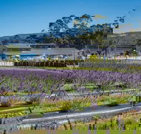 Private Hobart Discover South East Food and Scenic Tour - Attractions Brisbane